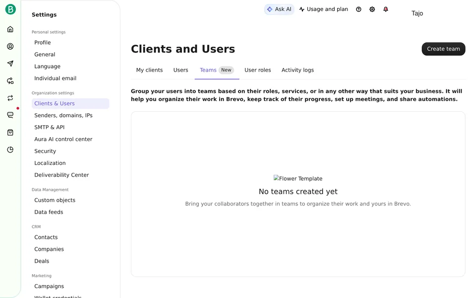 User Teams Brevo interface screenshot